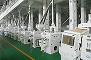 300 Tons rice mill production line